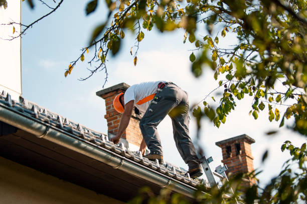 Best Roof Gutter Cleaning  in Winthrop Harbor, IL