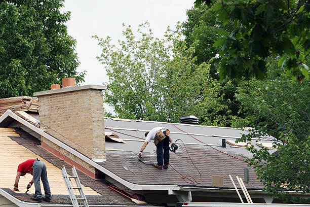 Best New Roof Installation  in Winthrop Harbor, IL